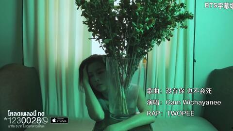 伪爱泰剧在线视频,在线视频中的甜蜜陷阱与情感纠葛